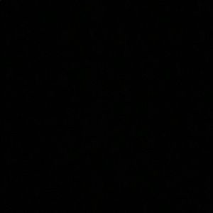 Meet your Posher, Taegan